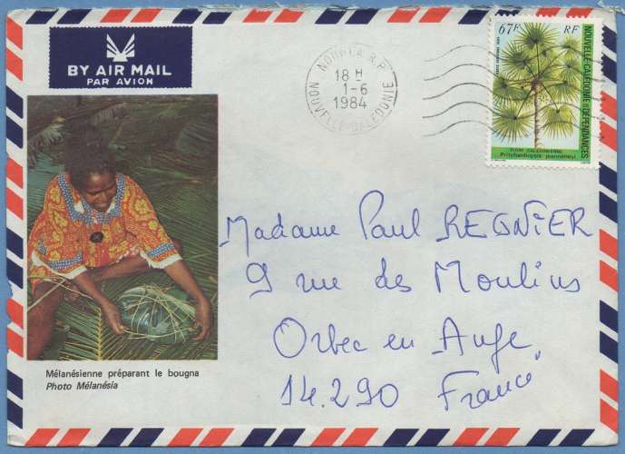 NC PA 239  Obl NOUMEA RP 1984 > France ill. Bougna