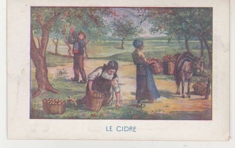 Image le Cidre   format cpa 1914  Paris Médoc