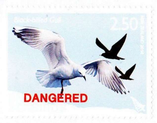 Nouvelle-Zélande 2014 Mouette de Buller sur lettre entière