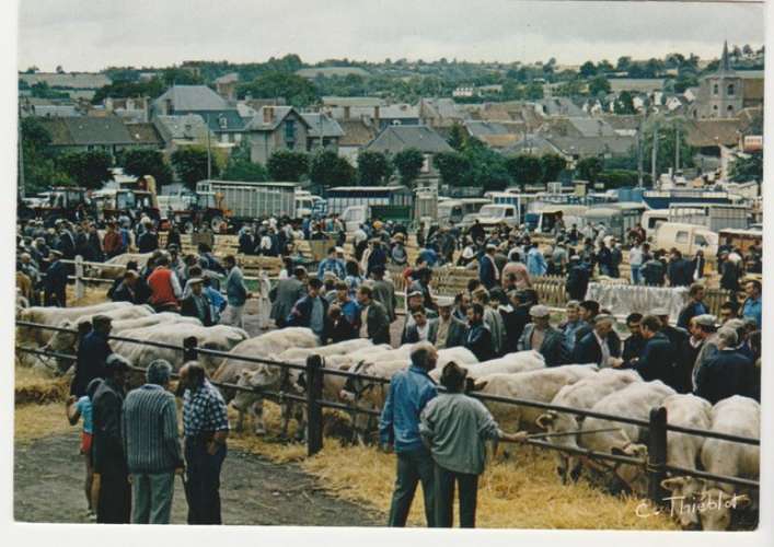 cpm 58 la Foire-Concours à Corbigny