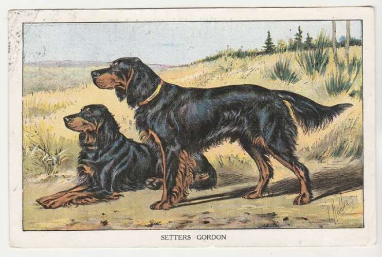 cpsm Publicité Le Chasseur Français Chiens Setters Gordon