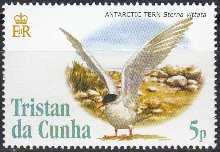  Tristan da Cunha 2005 Sterne Antarctique Neuf **