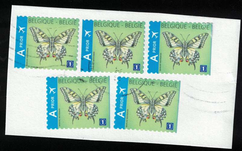 Belgique lot de 5 Oblitérés Used Butterfly Papillons sur fragment