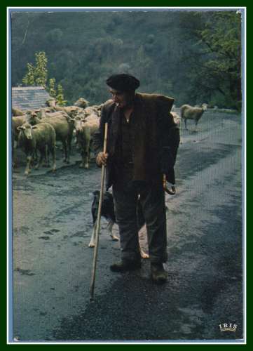 CPSM Pyrénées berger et troupeau de moutons non écrite