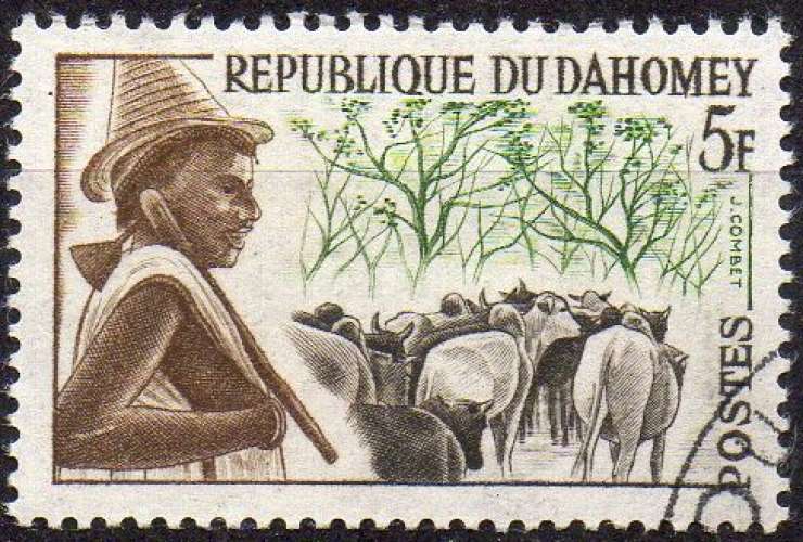 9091N - Y&T n° 181 - oblitéré - Peuhl - 1963 - Dahomey