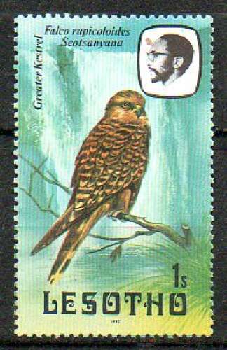 Lesotho Yvert N°519 Neuf 1982 Oiseau faucon crécerelle