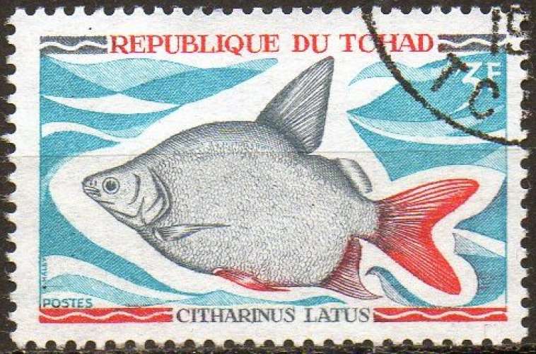 9295 - Y&T n° 217 - oblitéré - Citharinus latus - 1969 - Tchad