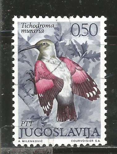 Yougoslavie 1972 - YT n° 1345 - Oiseaux - Thichodrome  