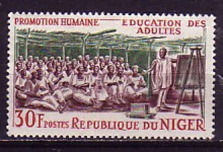 Niger 1965  Y&T  160  N**  éducation des adultes