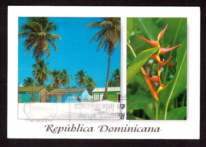 République Dominicaine Cpm fleurs - strelizias - maisons - palmiers