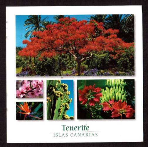 Espagne  Islas Canarias Cpm  Tenerife - fleurs