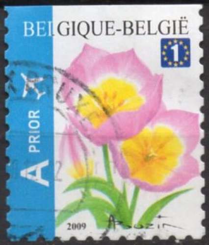 9778N - Y&T n° ??? - adhésif oblitéré - Tulipes - 2009 - Belgique