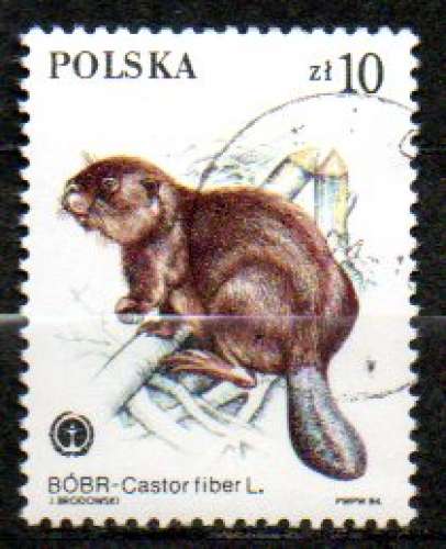 Pologne Yvert N°2761 Oblitéré 1984 Animal Castor Fiber