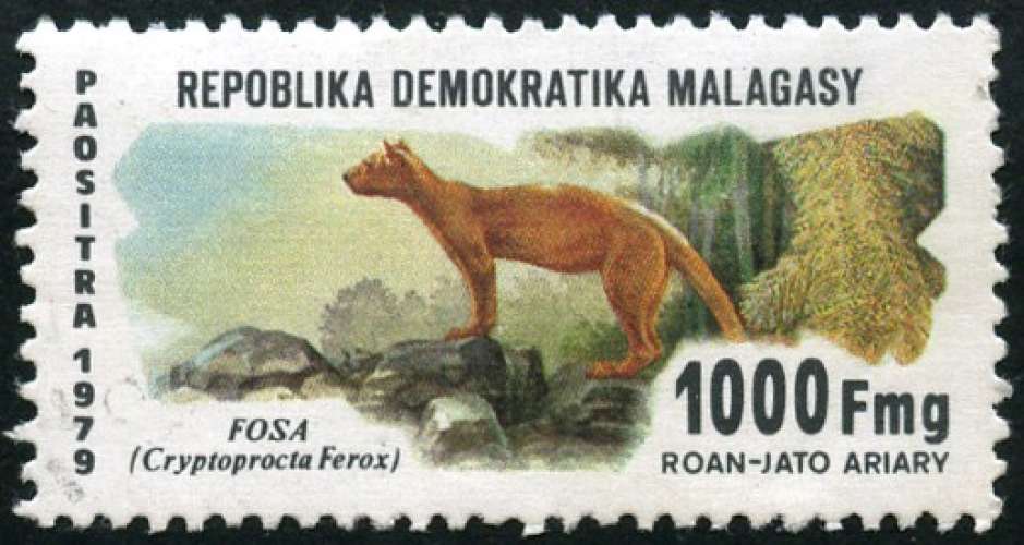 MADAGASCAR n° 629 neuf *