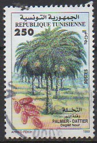 Tunisie 1355 - Palmier-dattier