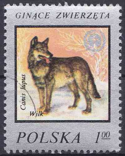 POLOGNE 1977 OBLITERE N° 2334 Protection de la nature Loup