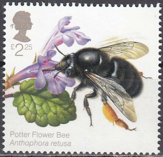  Great Britain 2015 Abeille Anthophora plumipes Neuf **