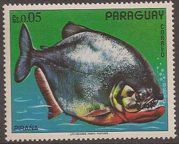 PARAGUAY 1975 : Oblitéré/Used # Poisson - Pirana