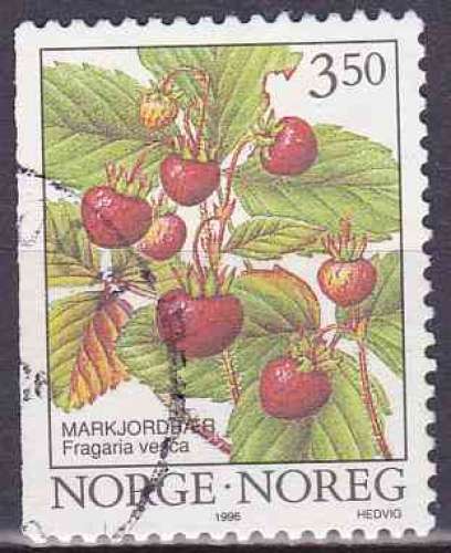 NORVEGE 1996 OBLITERE N° 1161