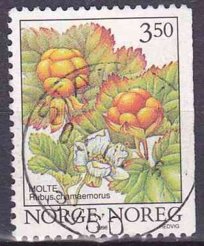 NORVEGE 1996 OBLITERE N° 1162