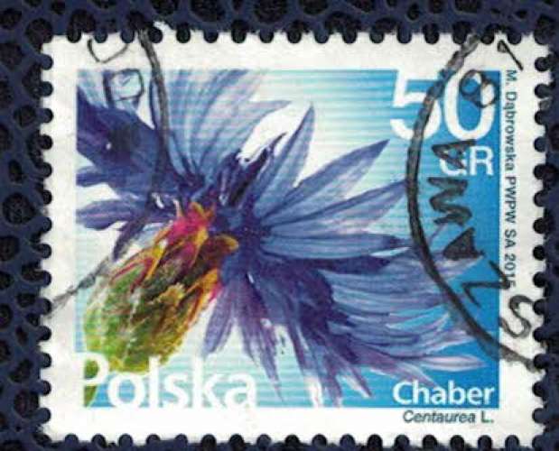 Pologne 2016 Oblitéré rond Used Fleurs Flowers Centaurea