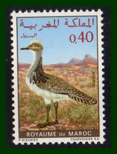 Maroc N° 607 ** oiseau