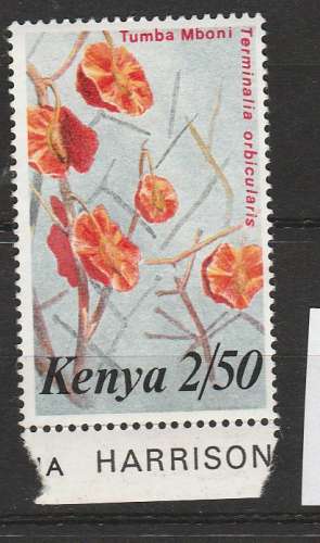 Kenya fleurs YT 250**