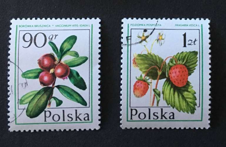 Pologne 1977 YT 2317 / 2318