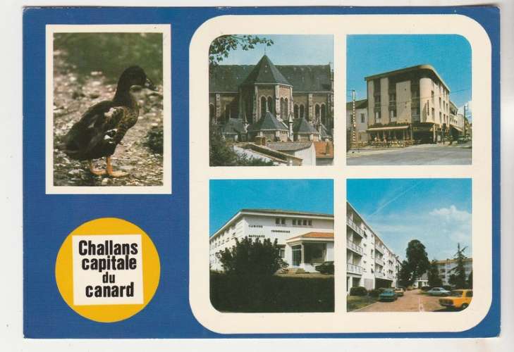 cpm 85 Challans Capitale du Canard multivues 