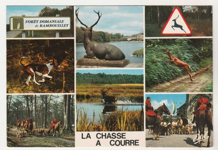 cpm 78 Rambouillet Chasse à courre Multivues