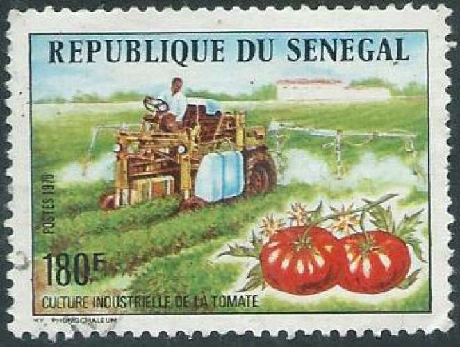 Sénégal - Y&T 0435 (o) - La tomate -