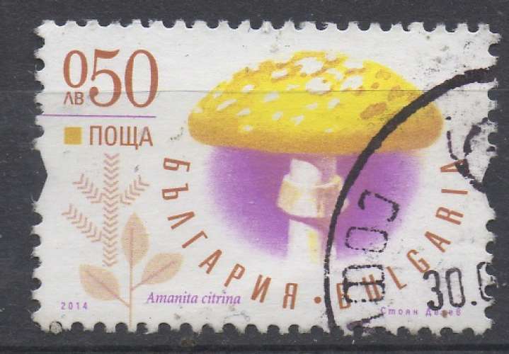 Bulgarie 2014 - Y & T : 4374 - Champignon