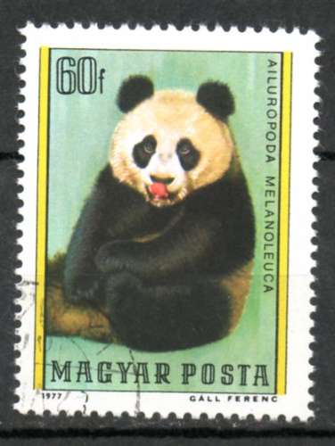 Hongrie Yvert N°2588 oblitéré 1977 Grand panda