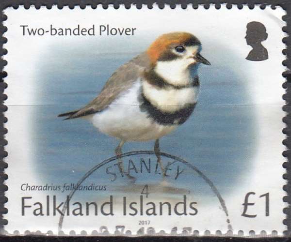 Falkland Islands 2017 Pluvier O Cachet rond