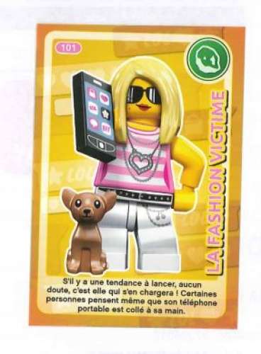 cartes lego auchan