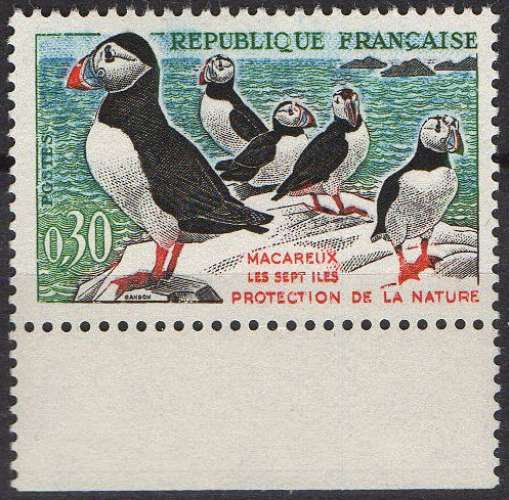 Oiseaux migrateurs - Macareux - moines