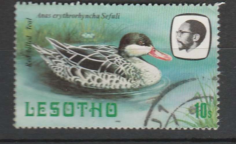 Lesotho canards   1981 YT 525 o