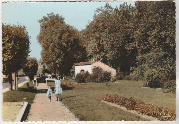 cpsm 77 Bray-sur-Seine  Jardin public