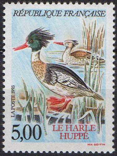 Espèce protégée de Canard - Harle huppé