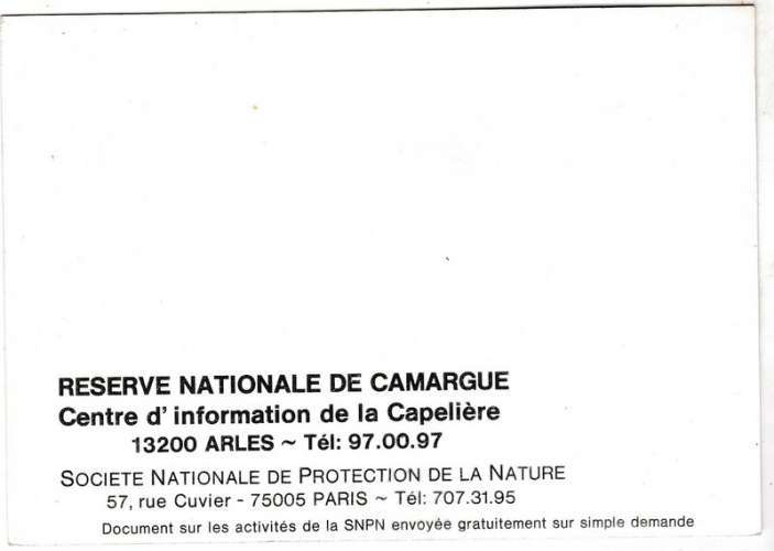 Auto-collant non postal Camargue Réserve Nationale 