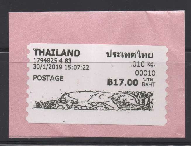 Thaïlande 2019 - Tapir