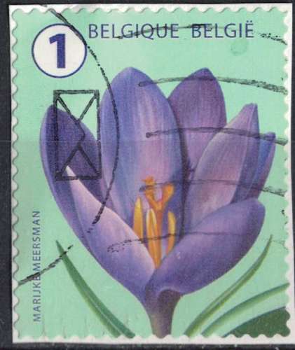 Belgique 2016 Oblitéré Used Flower Fleur Crocus SU