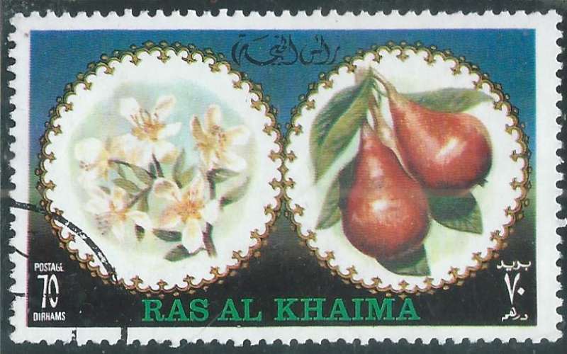 Ras al-Khaima - Y&T XXXX (o) 