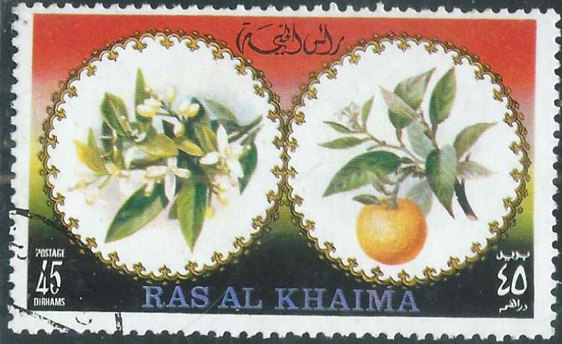 Ras al-Khaima - Y&T XXXX (o) 