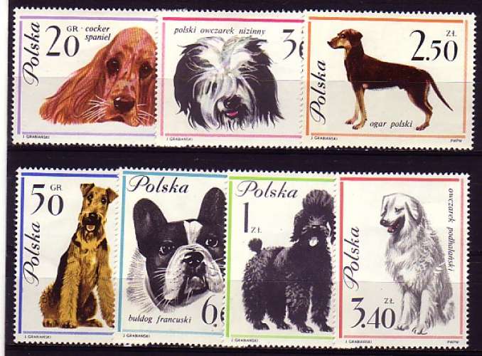 Pologne N**  7 timbres chiens