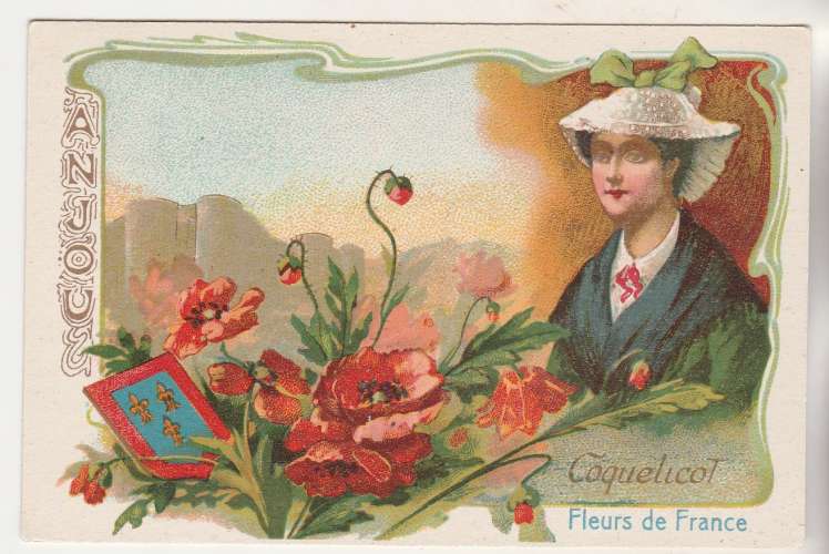  Chromo Fleurs de France  Coquelicot Anjou ( sans pub ) 