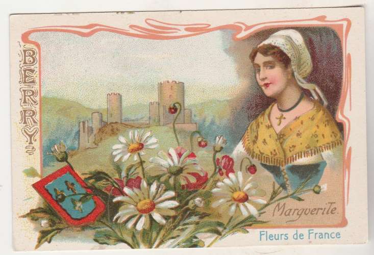  Chromo Fleurs de France  Marguerite Berry  ( sans pub ) 