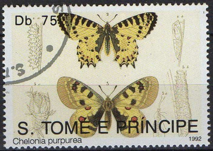 Faune - Papillons - Chelonia purpurea