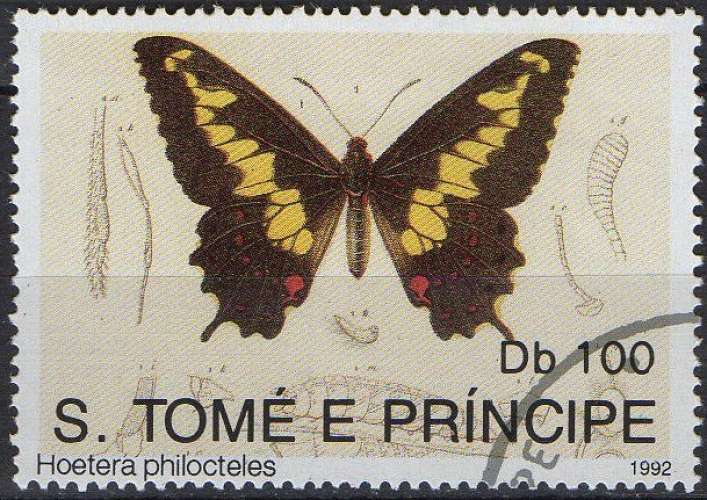 Faune - Papillons - Hoetera philocteles