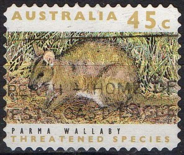 Faune - Wallaby de Parme - Animaux menacés d'extinction